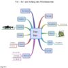 Mind-Maps zum Verstehen der Rechtschreibung ähnlich- oder gleichklingender Laute [Download] – Bild 3